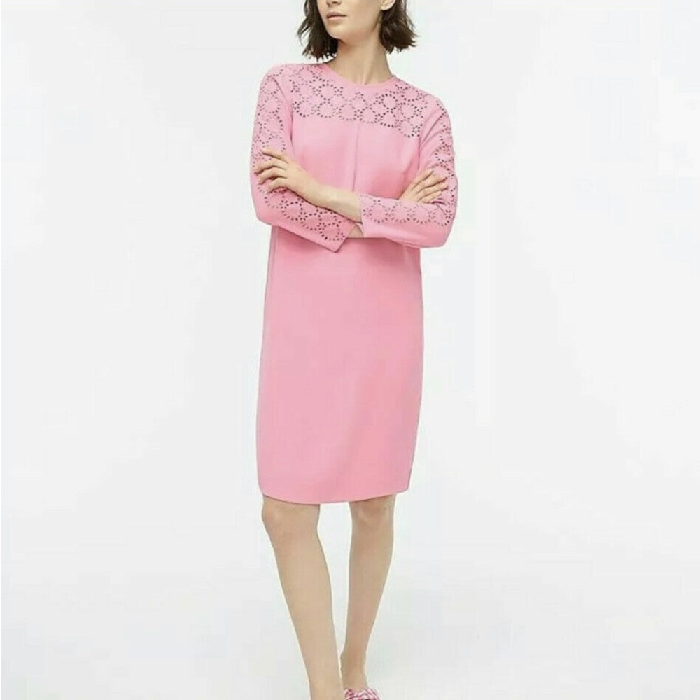 J. Crew Pink Lace Sleeve Dress